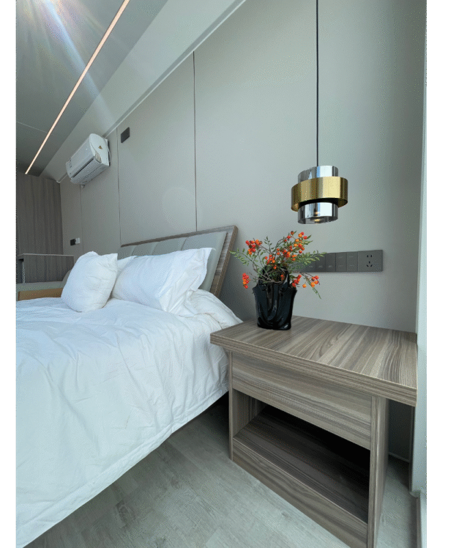 LE25 Eco - Image 5